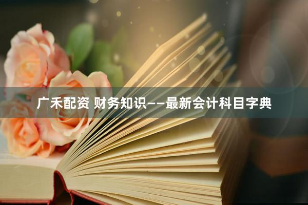 广禾配资 财务知识——最新会计科目字典