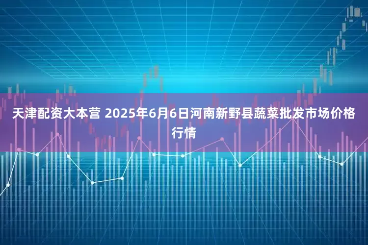 天津配资大本营 2025年6月6日河南新野县蔬菜批发市场价格行情