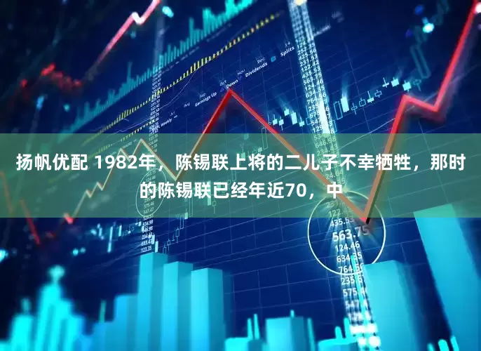 扬帆优配 1982年，陈锡联上将的二儿子不幸牺牲，那时的陈锡联已经年近70，中